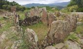 Trail Walking La Londe-les-Maures - Dolmen de Gaoutabry - Photo 9