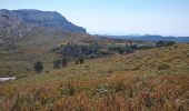 Tocht Stappen Marseille - Mont Carpiagne - Photo 1