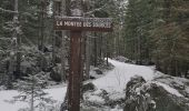 Percorso Marcia Chamonix-Mont-Blanc - CHAMONIX... vers les sources de l'Aveyron.  - Photo 6