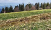 Tour Wandern Doizieux - Doizieux - De l'émetteur du Pilat à la Jasserie - Photo 19