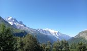 Excursión Senderismo Chamonix-Mont-Blanc - Aiguillette des Posettes 2201m 6.7.22 - Photo 13