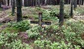 Trail Walking Stoumont - La Gleize 200521 - Photo 1