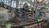 Excursión Senderismo Fontainebleau - 21/02/2020 - Photo 7