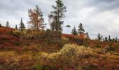 Tour Zu Fuß Muonio - Palkaskeronkierros - Photo 2