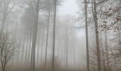 Randonnée Marche Auderghem - Vallon des trois fontaines - Photo 4