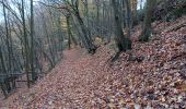 Trail Walking Chaudfontaine - gare - château des thermes /aller via les monts retour via la vesdre  - Photo 13
