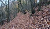 Tocht Stappen Chaudfontaine - gare - château des thermes /aller via les monts retour via la vesdre  - Photo 13