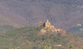 Randonnée Marche la Jonquera - 20230112 Site mégalithique- château Requesens  - Photo 7