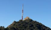 Tour Wandern La Seyne-sur-Mer - Notre Dame du Mai - Cap Sicié - Photo 5