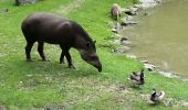 Tour Wandern Saint-Aignan - Beauval - 5 km 60m 2h20 - 2017 04 01  - Photo 6