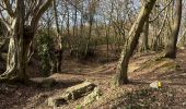 Tocht Stappen Trooz - Forêt meisier Magnee forêt  - Photo 1