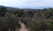 Trail Walking La Seyne-sur-Mer - Notre-Dame du Mai Forêt de Janas-26-03-21  - Photo 13