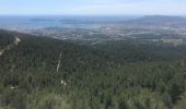 Tour Wandern Ollioules - Arrière pays toulonnais  - Photo 1