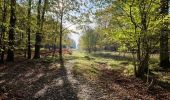 Tocht Stappen La Celle-les-Bordes - Yvelines_La-Celle-Les-Bordes=>Moutiers - Photo 4