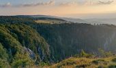 Trail Walking Le Valtin - La Schlucht - Le Hohneck - Photo 15