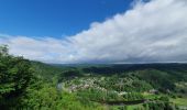 Tour Wandern Vresse-sur-Semois - rando laforêt 24-05-2022 - Photo 13