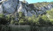 Trail On foot Sasca Montană - Sasca Română – Cheile Nerei (red triangle) - Photo 1