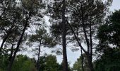 Excursión Senderismo Condette - Dunes d’Ecault depuis le château d’Hardelot - Photo 13