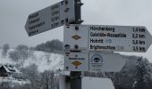 Randonnée A pied Sasbachwalden - Augenblickrunde Sasbachwalden Hörchenberg - Photo 4