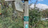 Tour Wandern Sainte-Croix-en-Jarez - Saint Croix en Jarrez - Photo 4