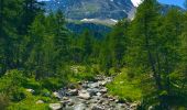 Trail On foot Varzo - F28 - Alpe Veglia - Bocchetta di Aurona - Photo 2
