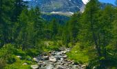 Excursión A pie Varzo - F99 - Alpe Veglia - Passo di Valtendra - Photo 8