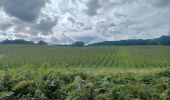 Tour Wandern Genappe - Promenade à Bousval - Photo 2