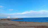 Randonnée Marche Argelès-sur-Mer - racou -  risque de portails (par les bois) port argeles (par la mer) le racou - Photo 4