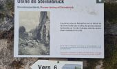 Tour Wandern Metzeral - Tour Steinabruck - Mittlach - Photo 2