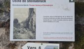 Trail Walking Metzeral - Tour Steinabruck - Mittlach - Photo 2