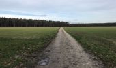Trail Walking Maaseik - Rond Oudberg - Photo 3