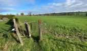 Tour Wandern Lontzen - Lontzen 19,5 km - Photo 15