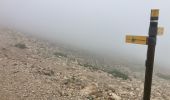 Randonnée Trail Bédoin - Ventoux par combes d’Ansis, de Fiole et de Curnier(21K 1450D+) - Photo 5