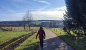 Randonnée Marche Houffalize - Wibrin - Photo 8