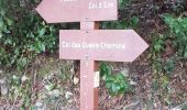 Trail Walking Nice - Vinaigrier Mont Bastide - Photo 9