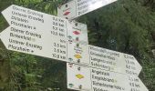 Excursión A pie Engelsbrand - Wasserleitungsweg - Brötzinger Schlag - Photo 4
