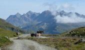 Trail On foot Surses - Juf - Pass da Sett - Photo 10