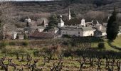 Tocht Stappen Saint-Laurent-de-Carnols - la chartreuse de valbonne - Photo 2