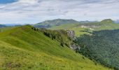 Tour Wandern Lus-la-Croix-Haute - Col de Chante - Jajere Lus la Croix Haute - Photo 3