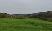 Tour Wandern Vindry-sur-Turdine - Autour de Saint loup  - Photo 4