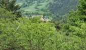 Randonnée Marche Alleyras - vers Montrisol d'Allier - Photo 2