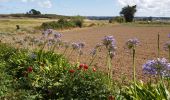 Trail Walking Lanmodez - lanmodez pors Guyon - Photo 9