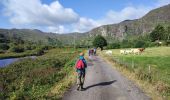 Tour Wandern West Cork - Glengarriff - Ardrigole - Photo 2