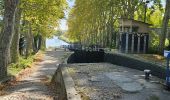 Trail Bicycle tourism Castelnaudary - Canal du midi étape 2 - Photo 4