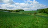 Trail Walking Le Boulay - le Boulay - circuits Le pain sec et le Boulay avec variante le Sentier - 21.4km 180m 5h15 - 2022 05 05 - Photo 6