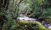 Tour Wandern Cros - Promenade du gite des milles fleurs, au fil de l'eau. - Photo 6