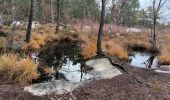 Randonnée Marche Fontainebleau - MAINTENON 24 NOVEMBRE 2023 - Photo 3