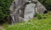 Excursión Senderismo Chamonix-Mont-Blanc - Promenade du paradis des Praz à Argentière  - Photo 2