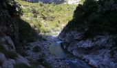 Tour Wandern La Palud-sur-Verdon - Chemin Martel  - Photo 4