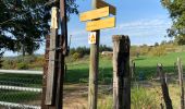 Trail Walking Messimy - De Messimy au belvédère du Piragoy en boucle - Photo 5
